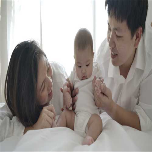 上海红房子试管婴儿_自助找试管婴儿翻译有什么弊端?